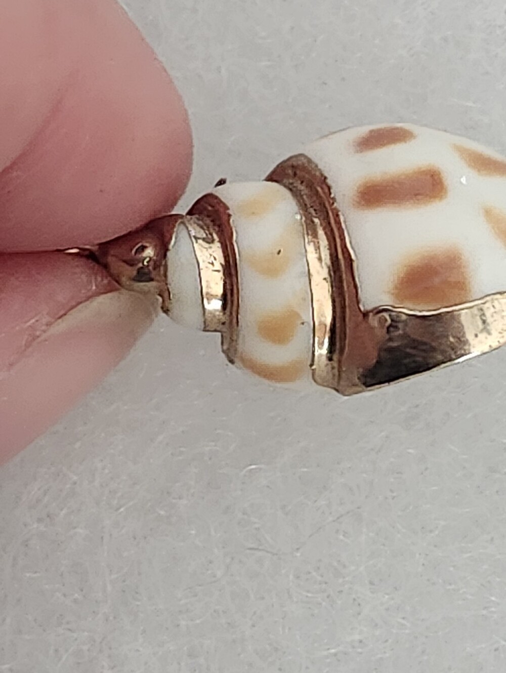Seashell Pendant Brown & White With Gold Tone Trim & Bail - Picture 7 of 11